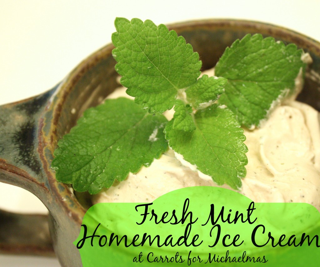 Fresh Mint Homemade Ice Cream